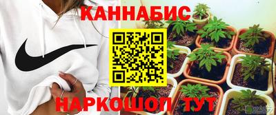 бошки Бийск