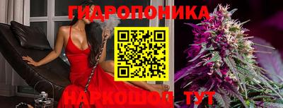 соль ск Пугачёв