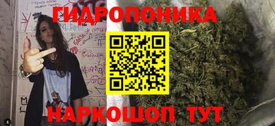 соль ск Пугачёв
