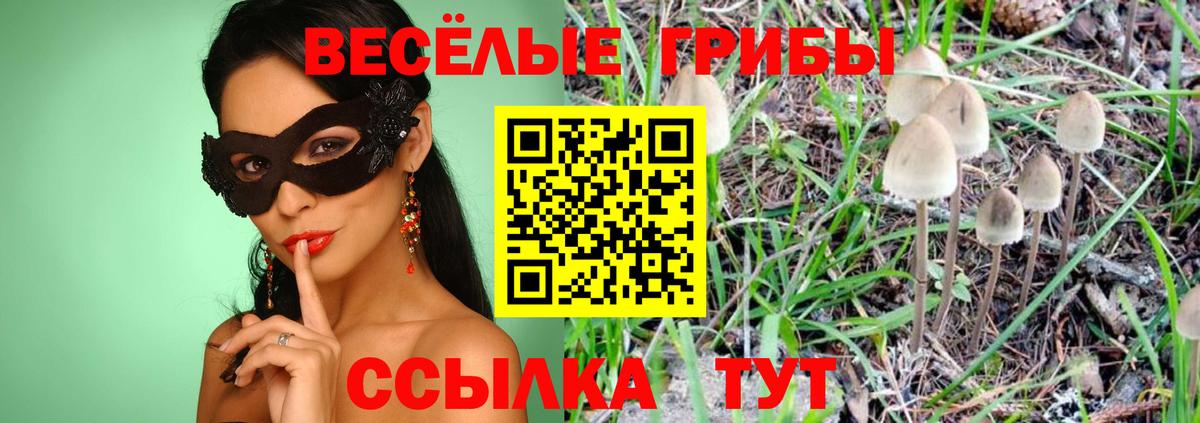 ГАШИШ  MDMA  Сорочинск  ГАШИШ  Alpha-PVP СК кристаллы  Канабис  Вход с VPN  ЭКСТАЗИ  COCAIN  Мефедрон  