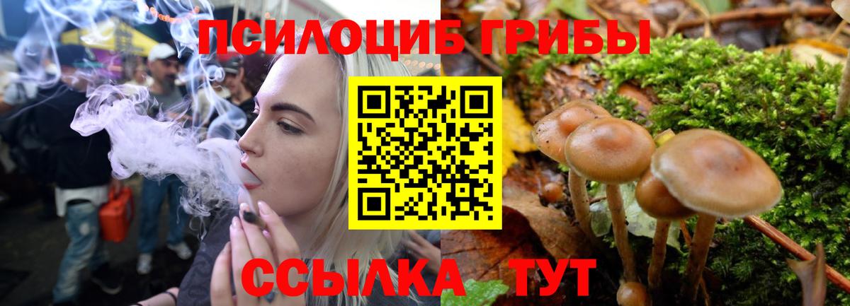 Сорочинск  Галлюциногенные грибы прущие грибы  Вход с VPN  закладка  Псилоцибиновые грибы Magic Shrooms 