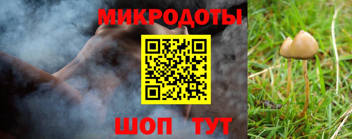 Галлюциногенные грибы прущие грибы Сорочинск